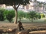 Classic Travel - Gallery - Indie