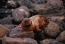 Classic Travel - Gallery - Galapagos