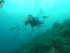 Classic Travel - Gallery - Belize Scuba