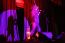 Classic Travel - Gallery - Zbigniew Wodecki Concert