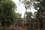 Classic Travel - Gallery - Indochina