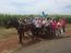 Classic Travel - Gallery - Exotic Cuba