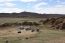 Classic Travel - Gallery - Mongolia & Beijing
