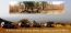 Classic Travel - Gallery - Mystical Ethiopia