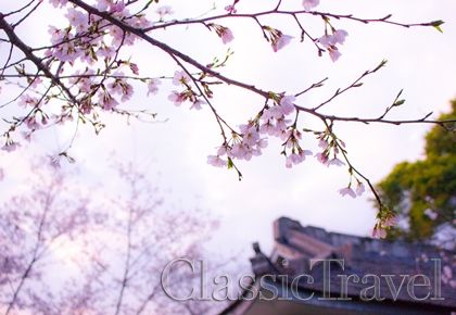 Classic Travel - Trip - JAPAN